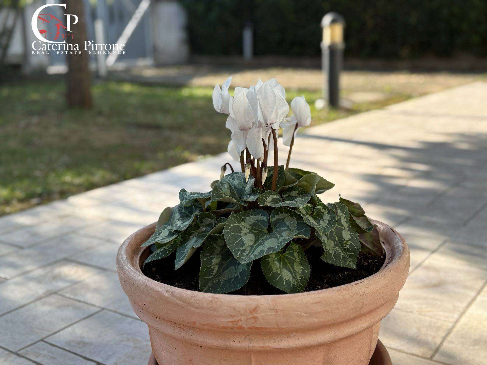  - foto 26