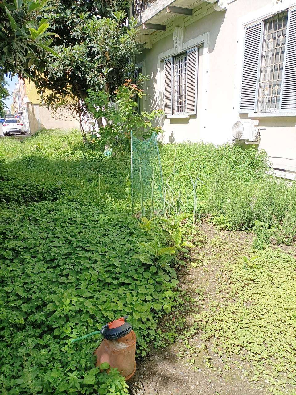  - foto 22