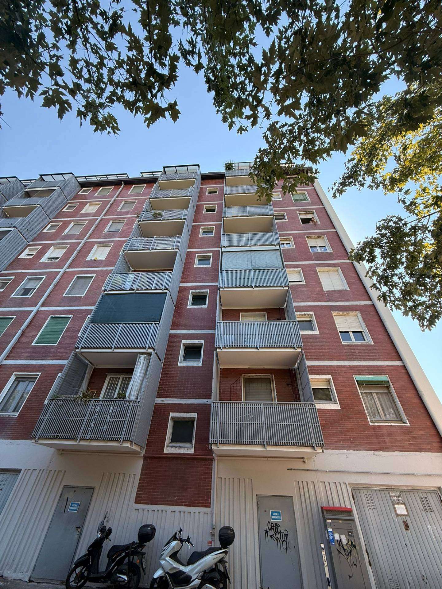  - foto 42