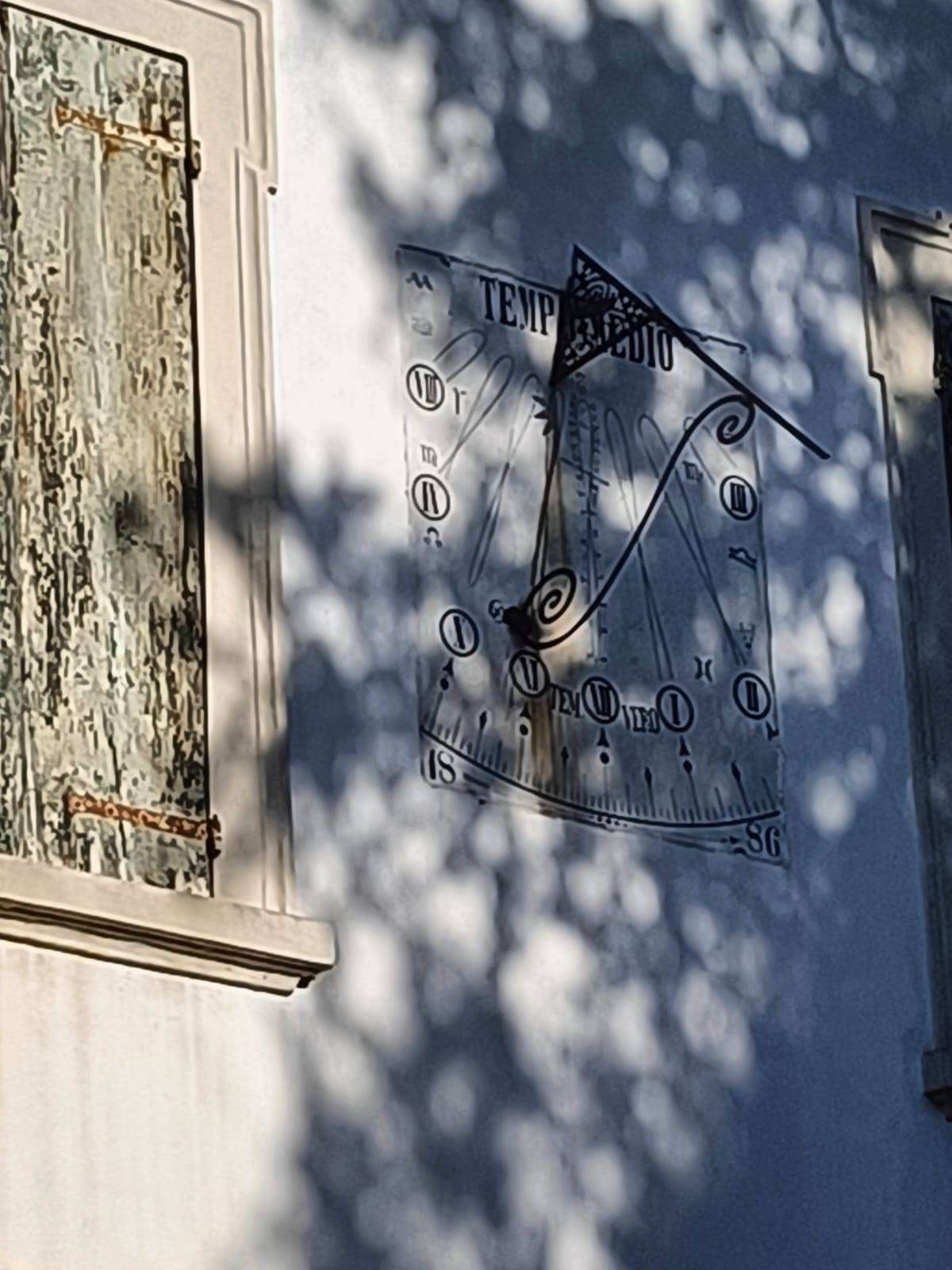  - foto 10
