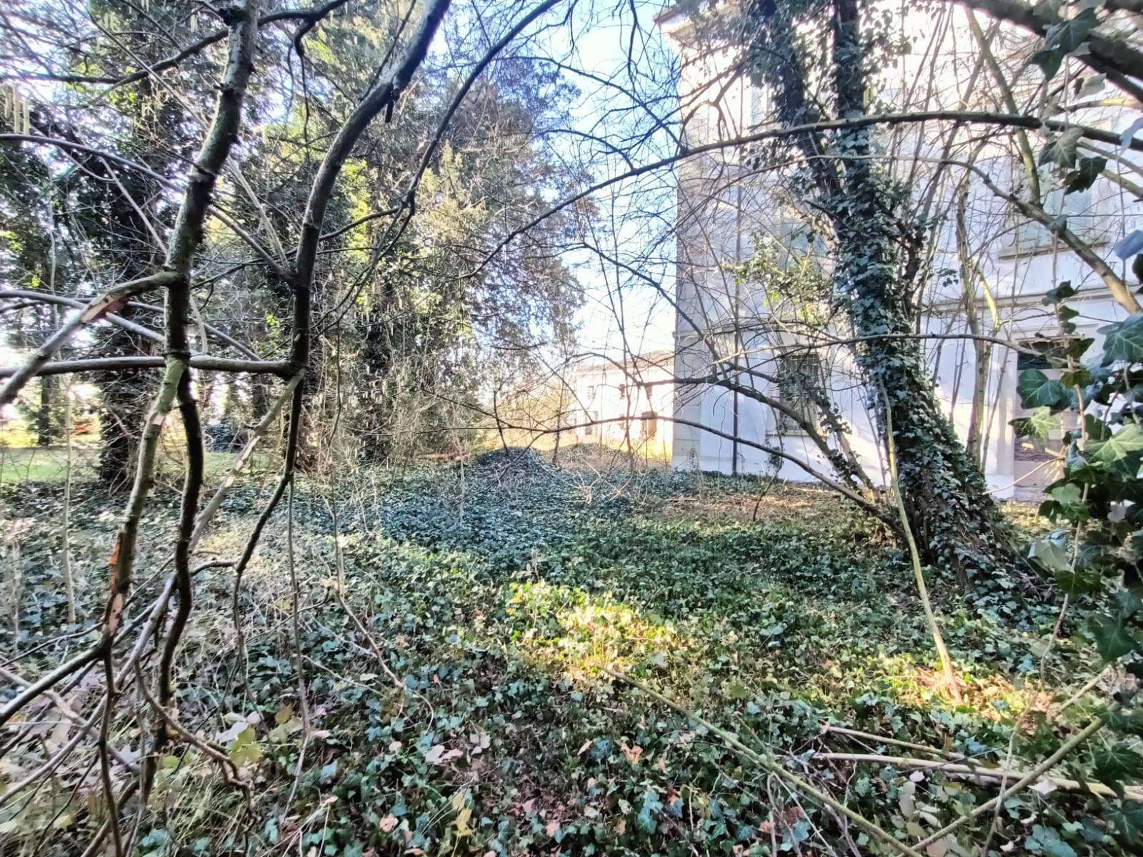  - foto 17