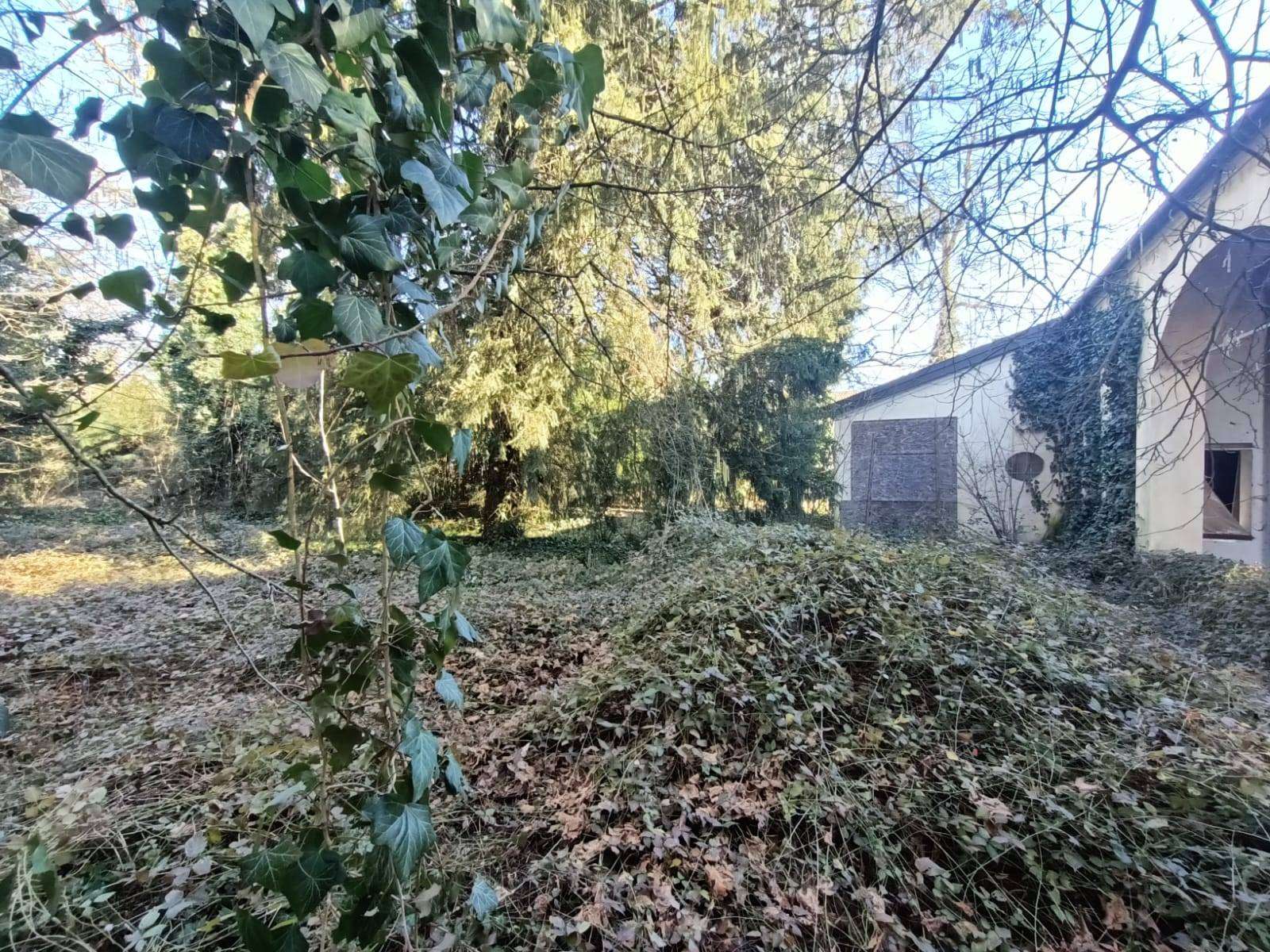  - foto 20