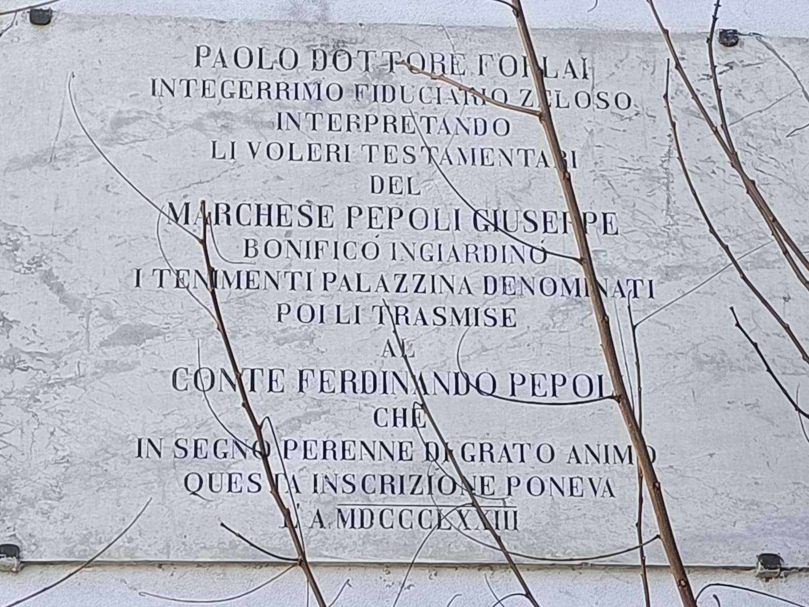  - foto 37