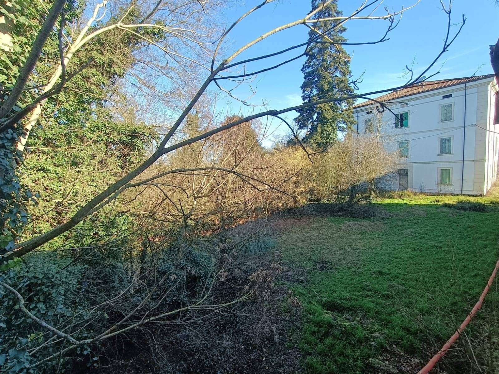  - foto 42