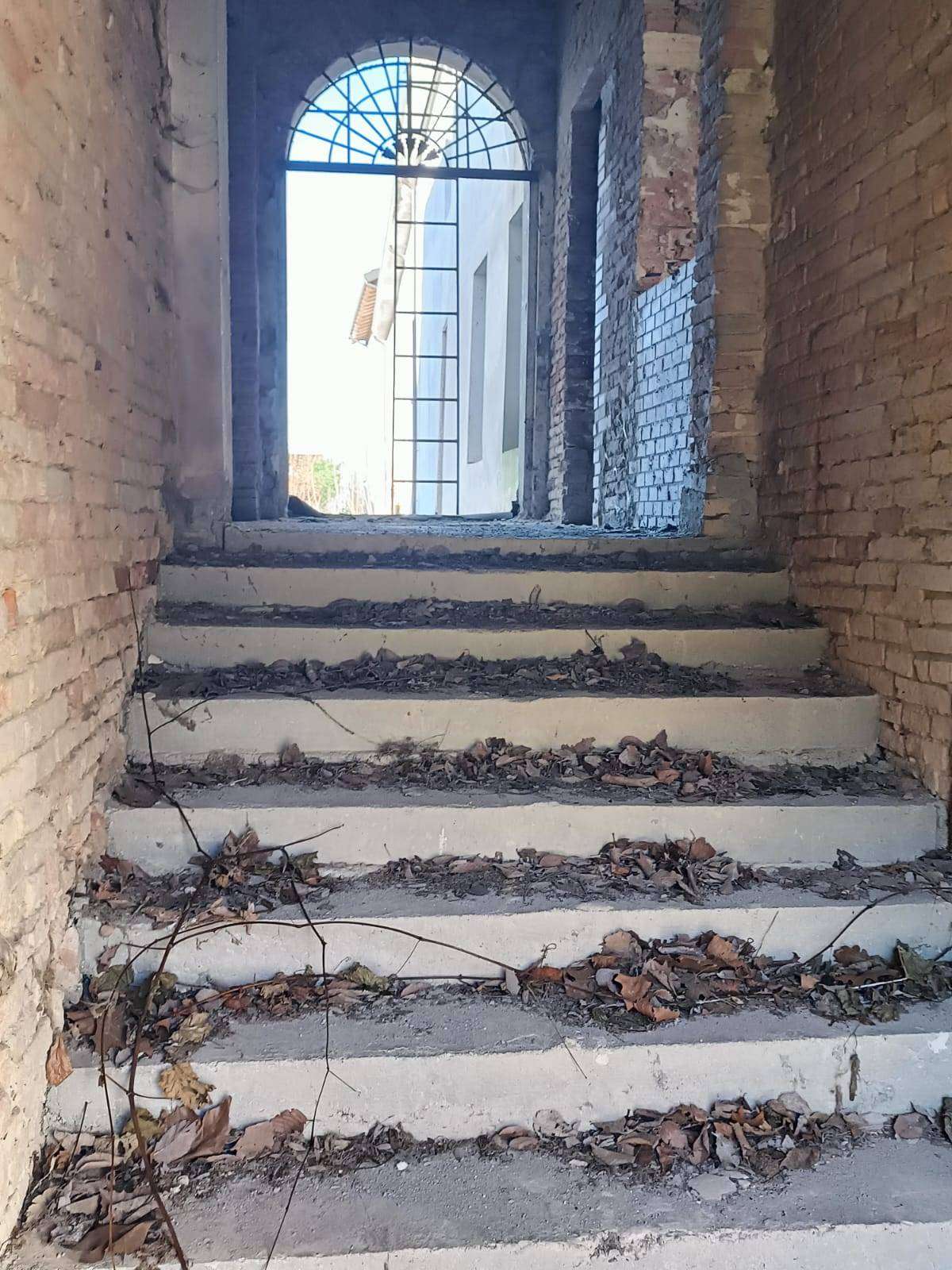  - foto 58