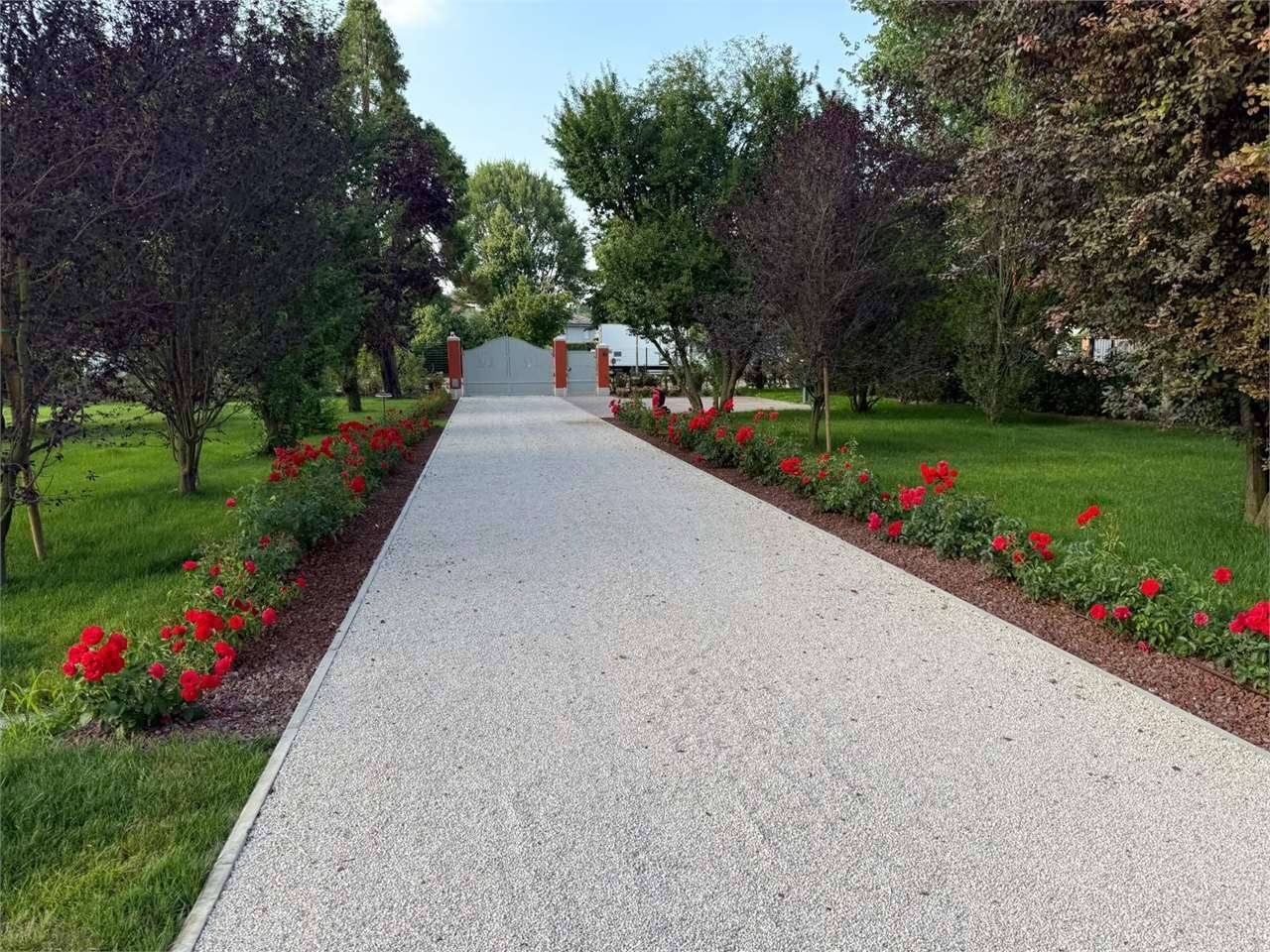  - foto 46
