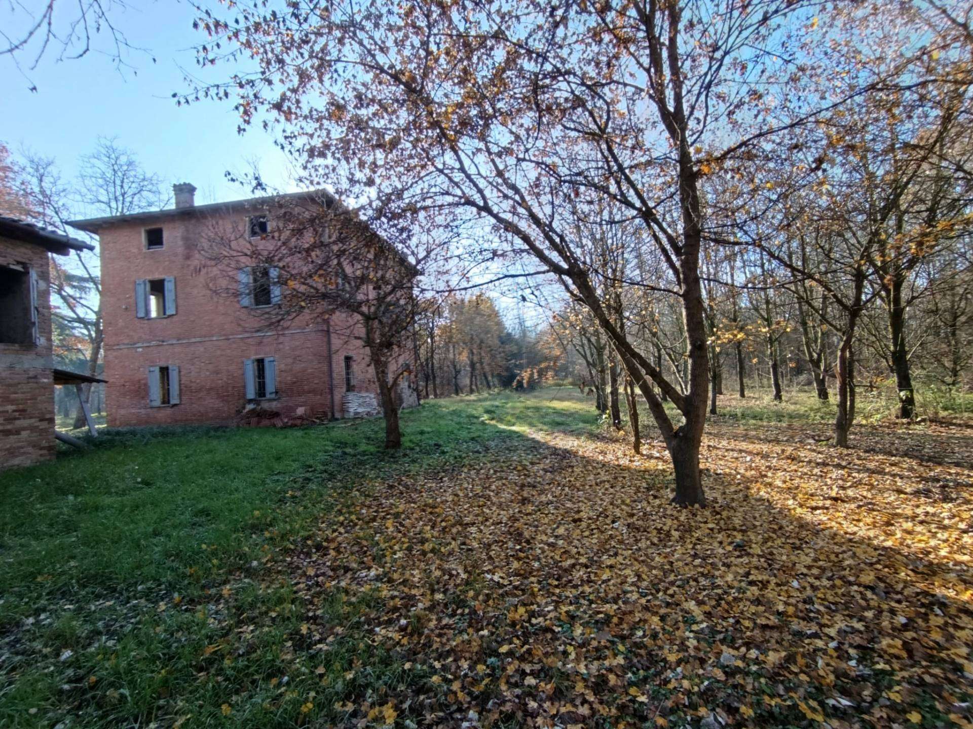  - foto 12