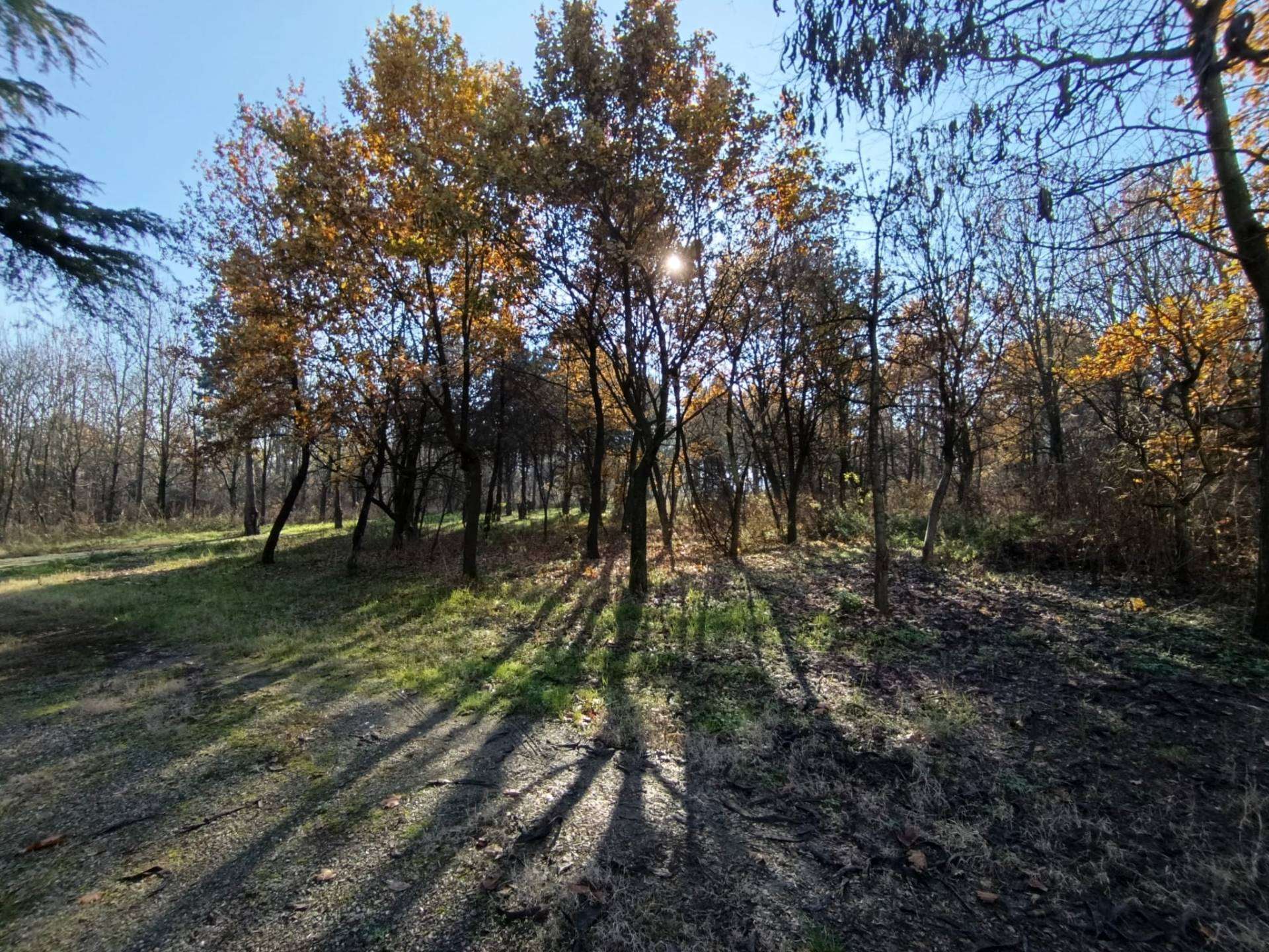  - foto 24