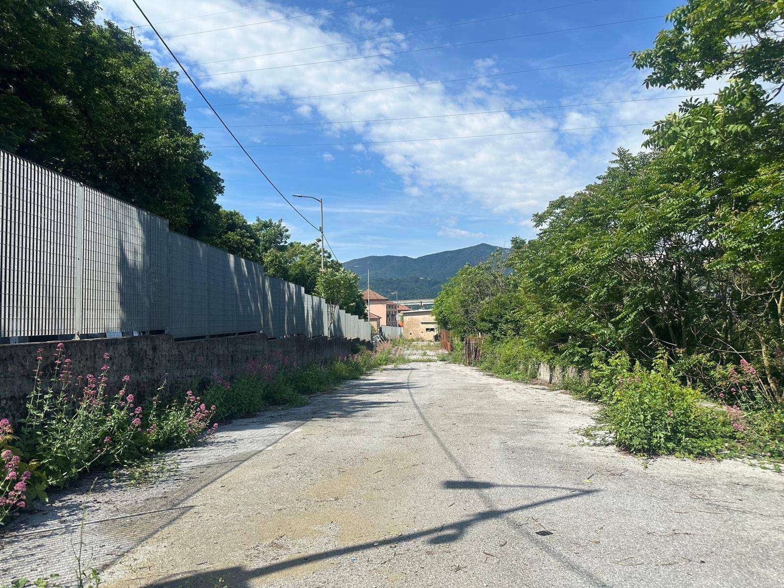  - foto 13