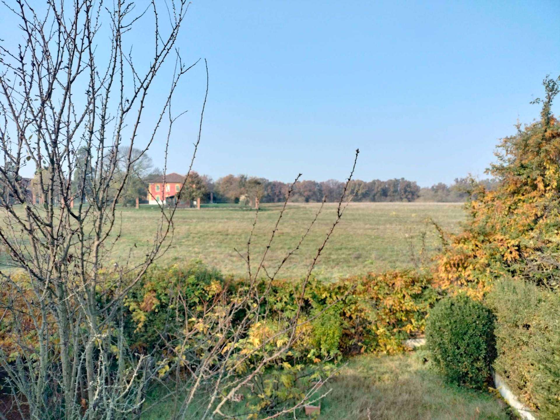  - foto 14