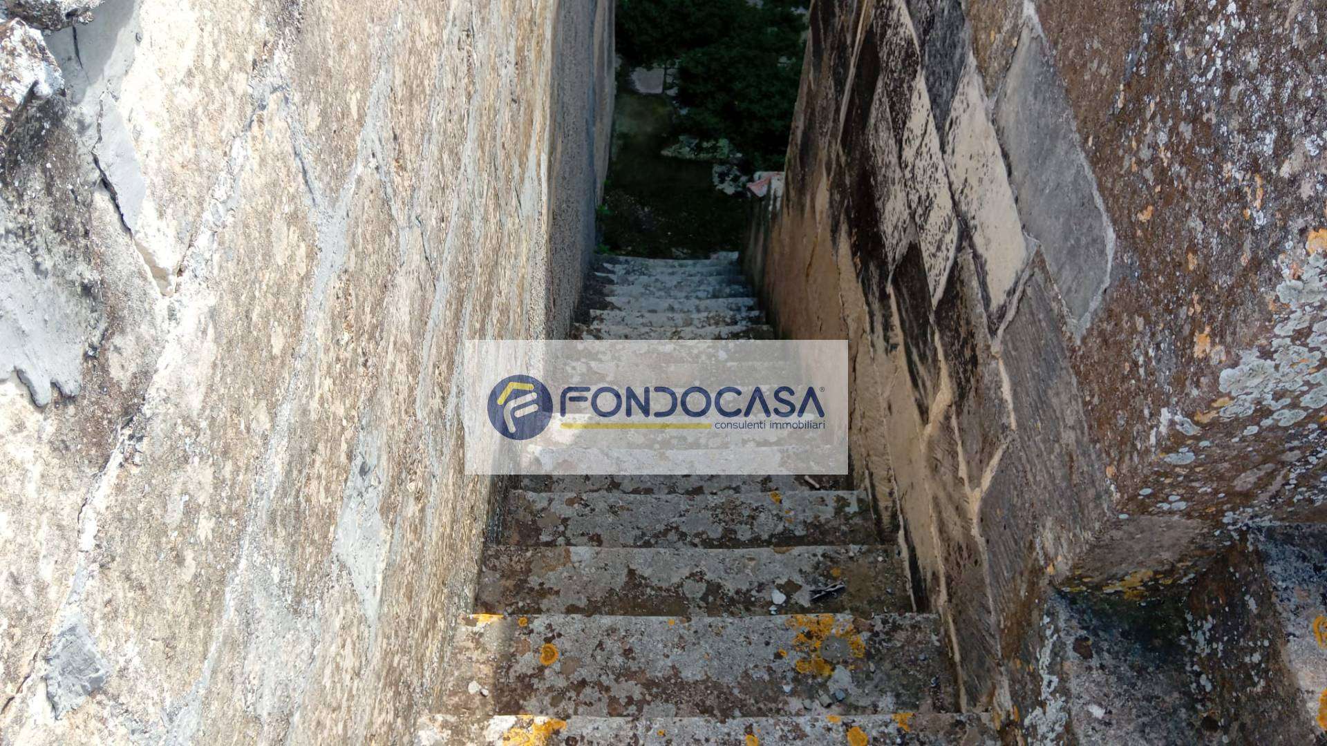  - foto 27
