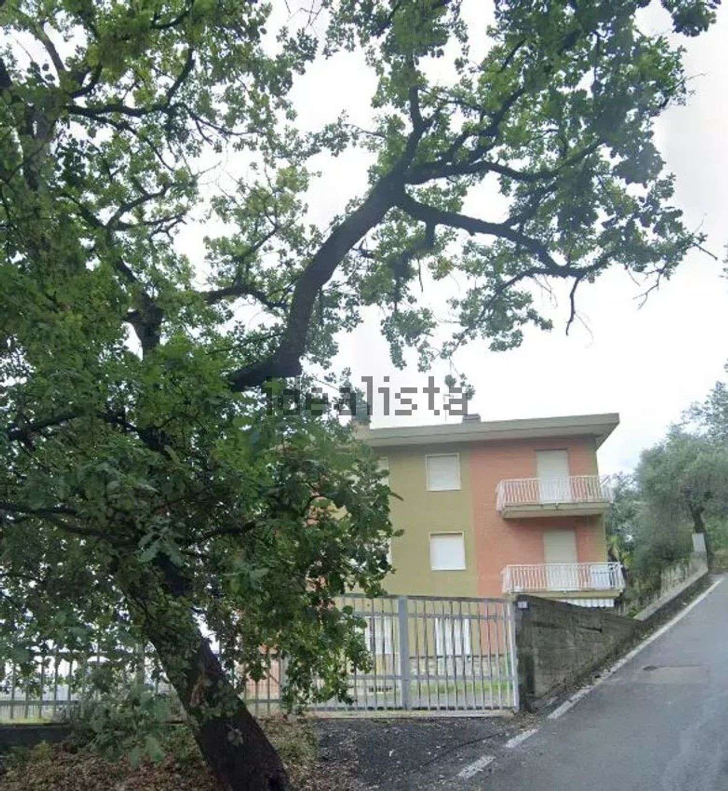  - foto 3