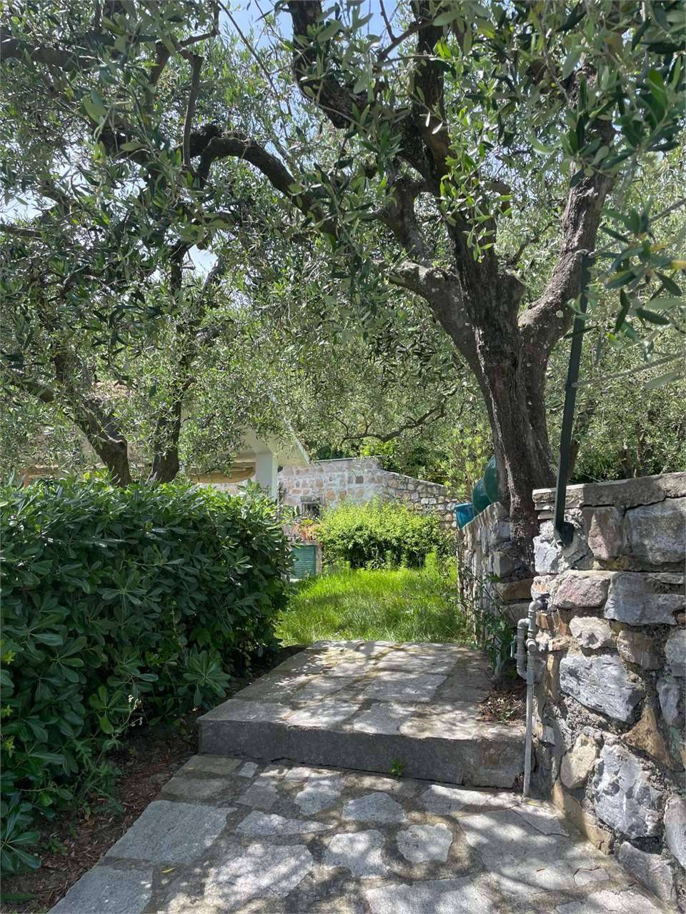  - foto 29