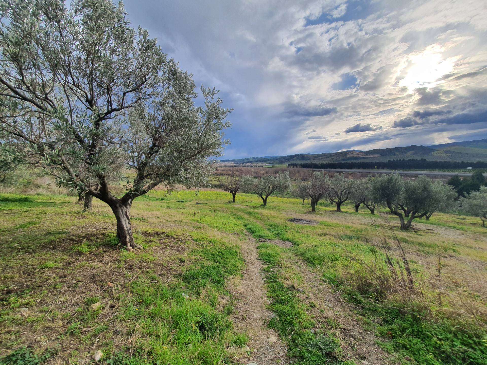 Terreno agricolo Viale Europasnc, Catanzaro