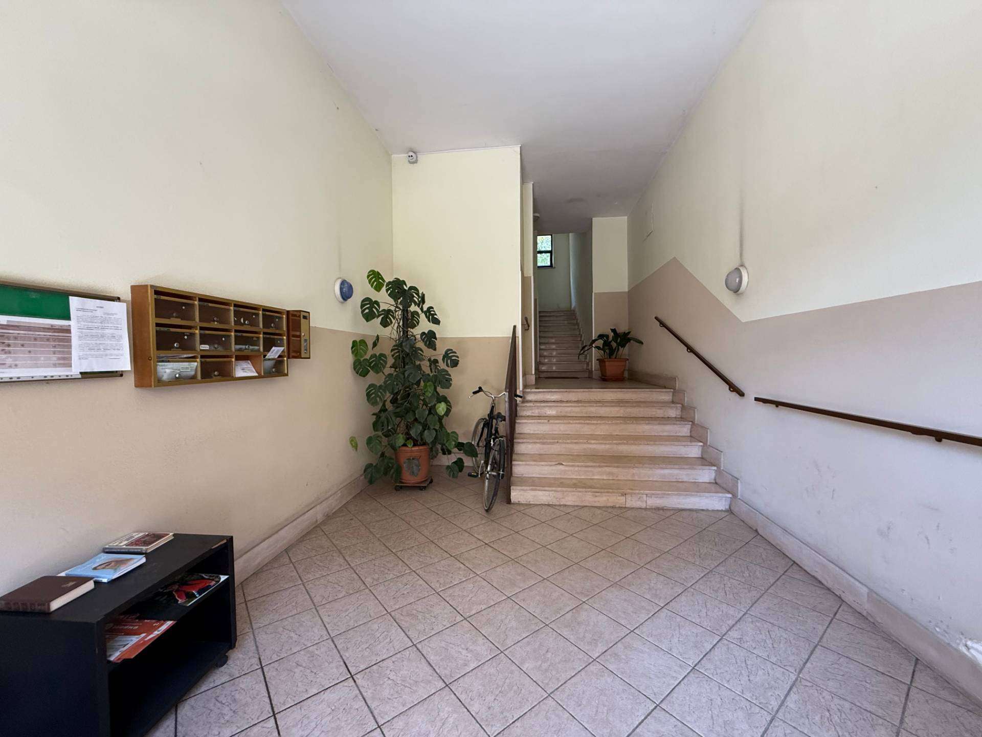  - foto 11