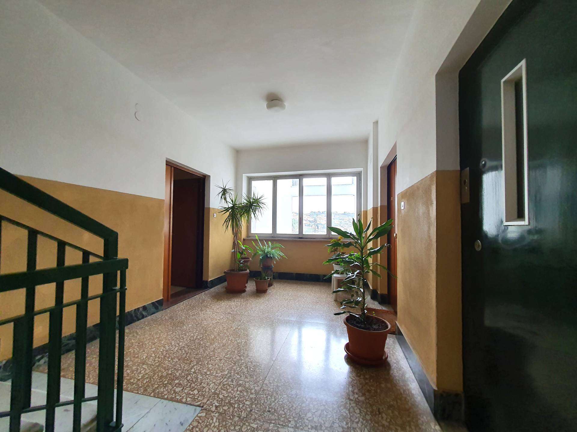  - foto 17