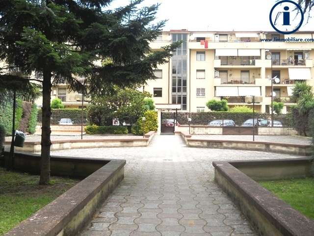  - foto 14