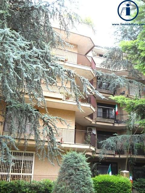  - foto 16