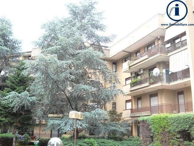  - foto 19