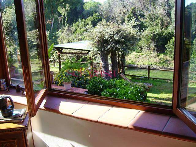  - foto 52