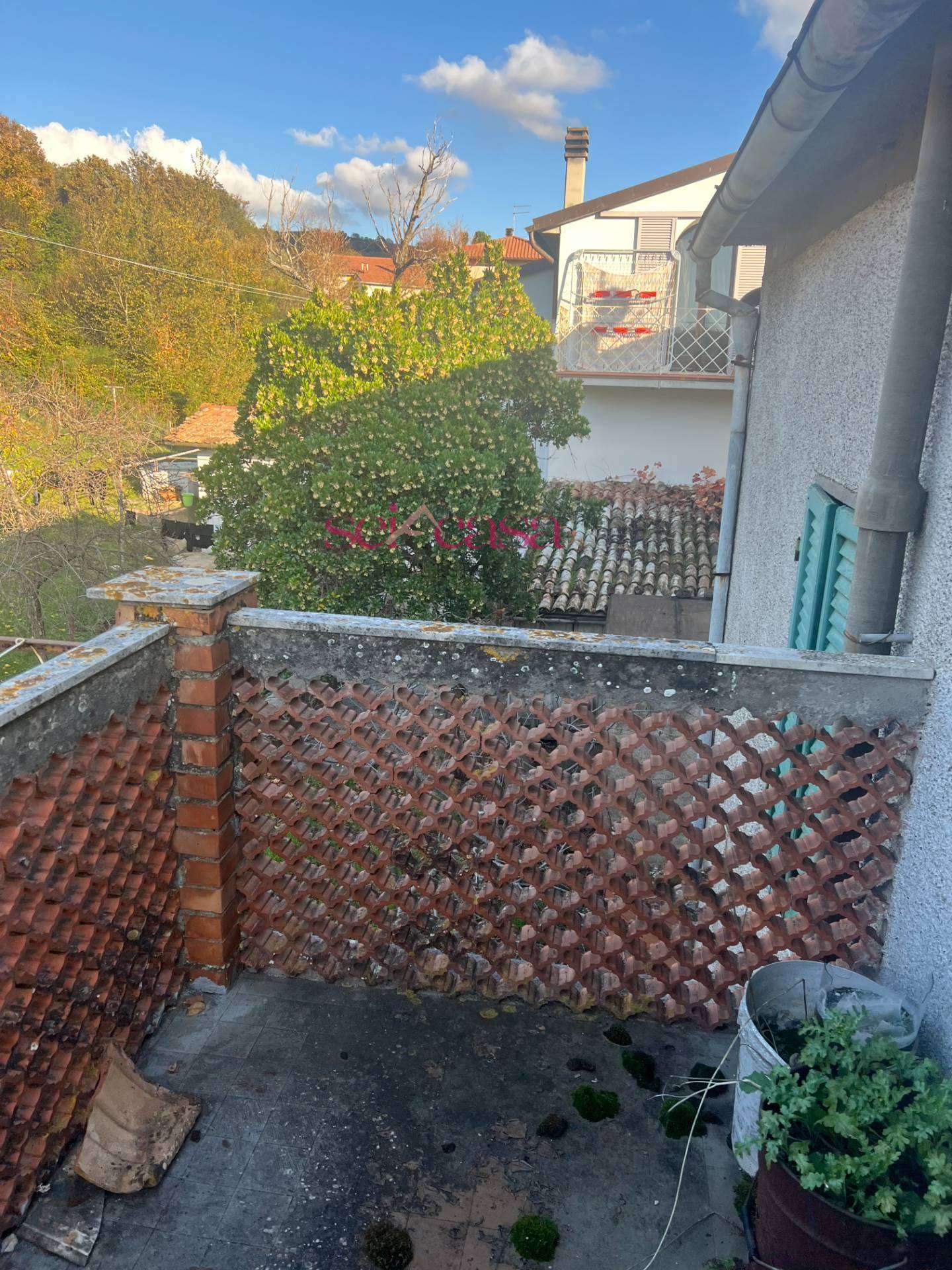 - foto 11