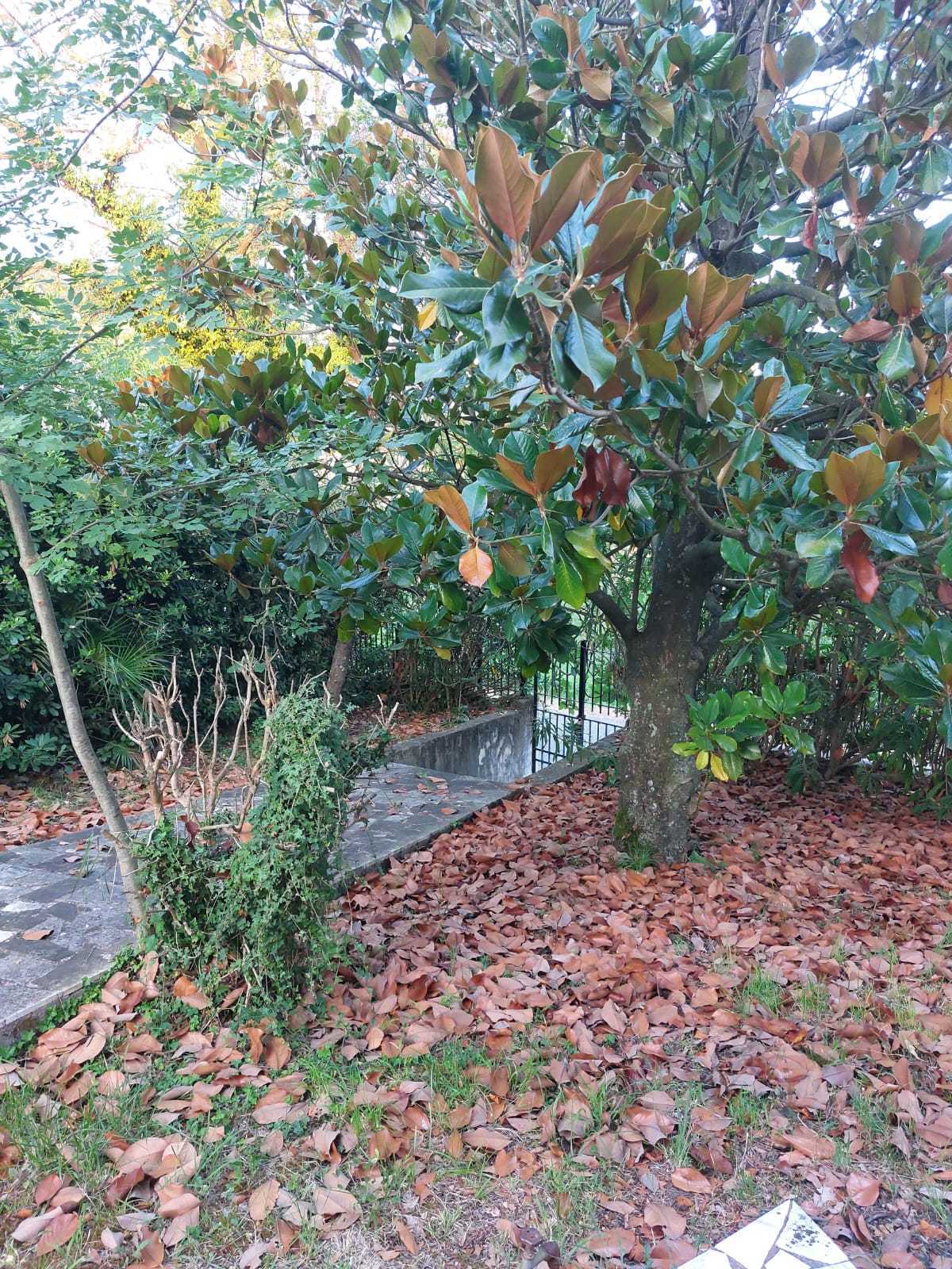  - foto 13