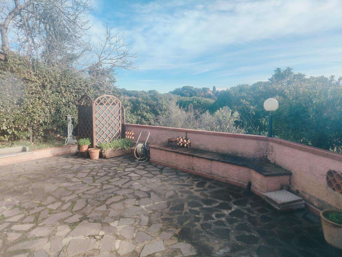  - foto 11