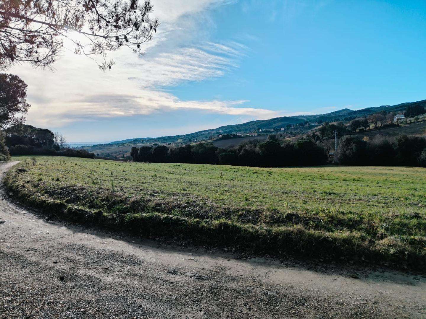  - foto 14