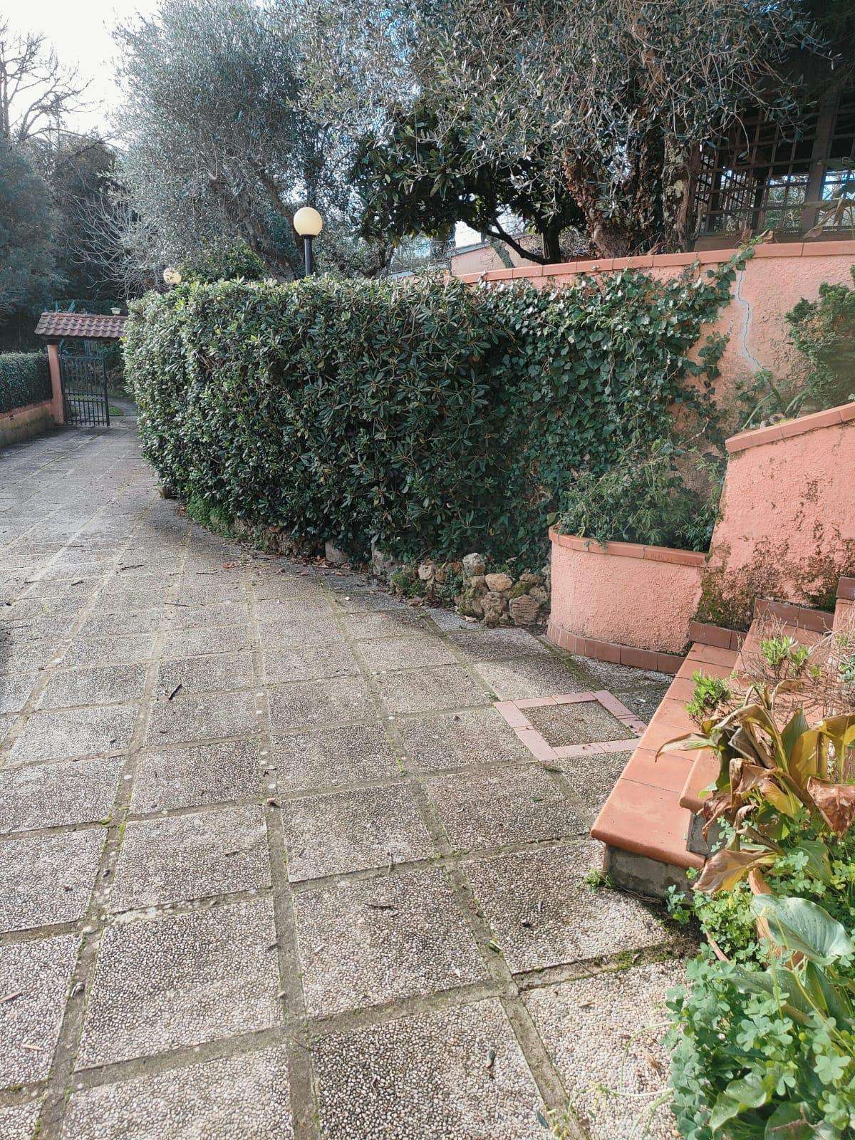  - foto 5