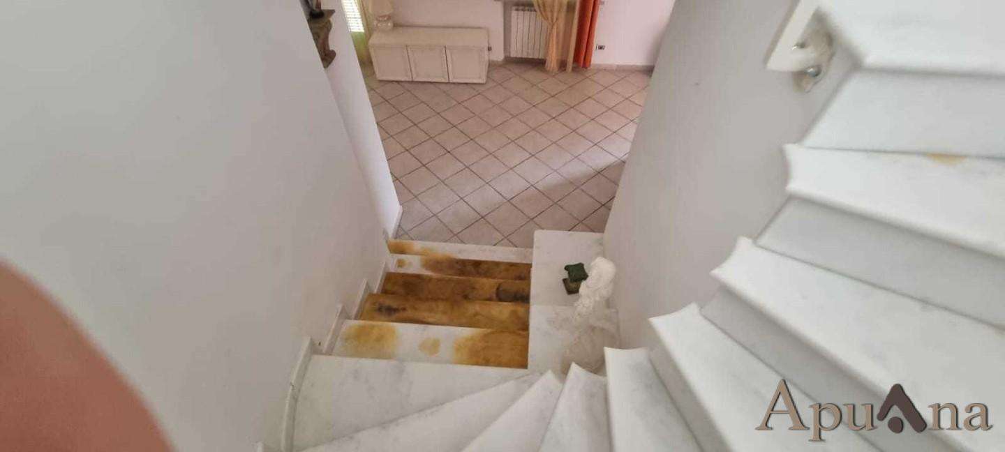  - foto 19