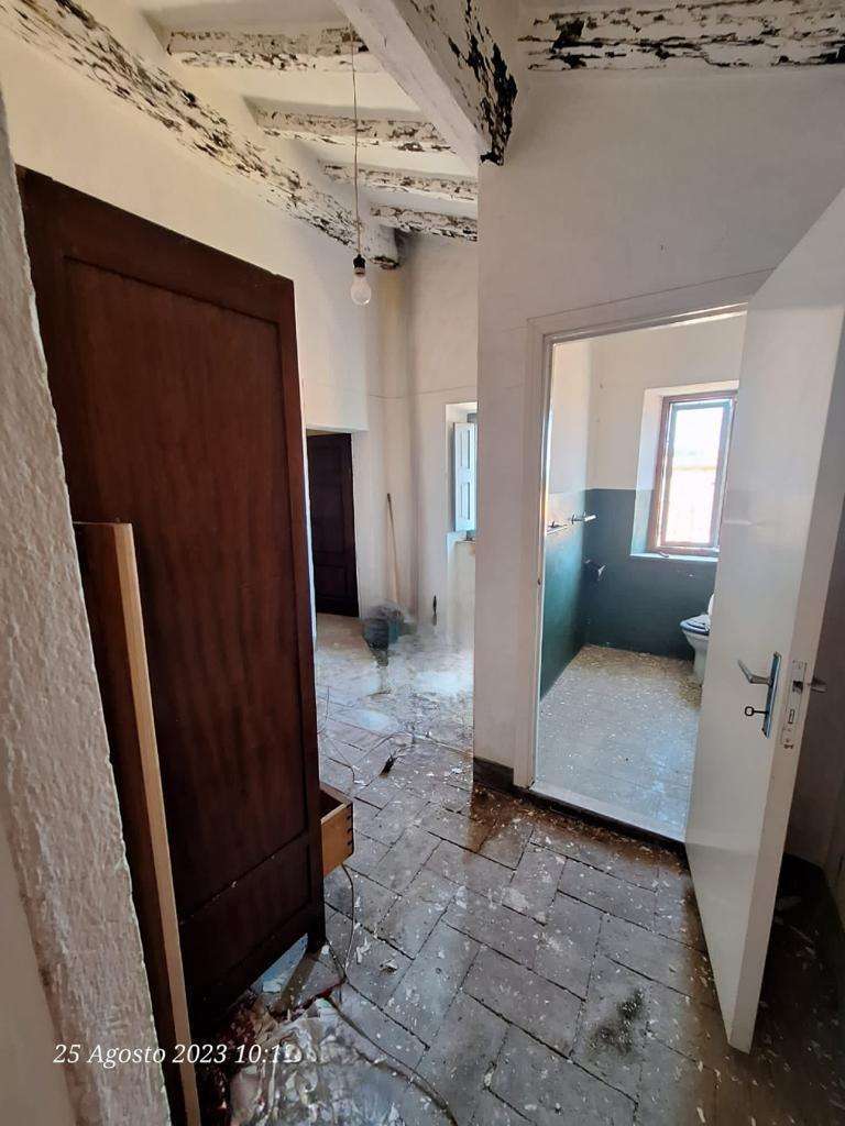  - foto 11