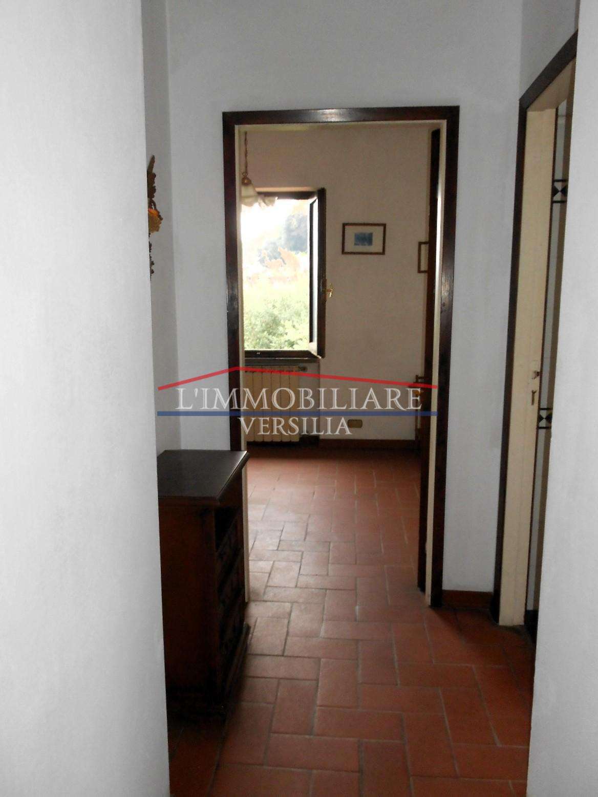  - foto 62