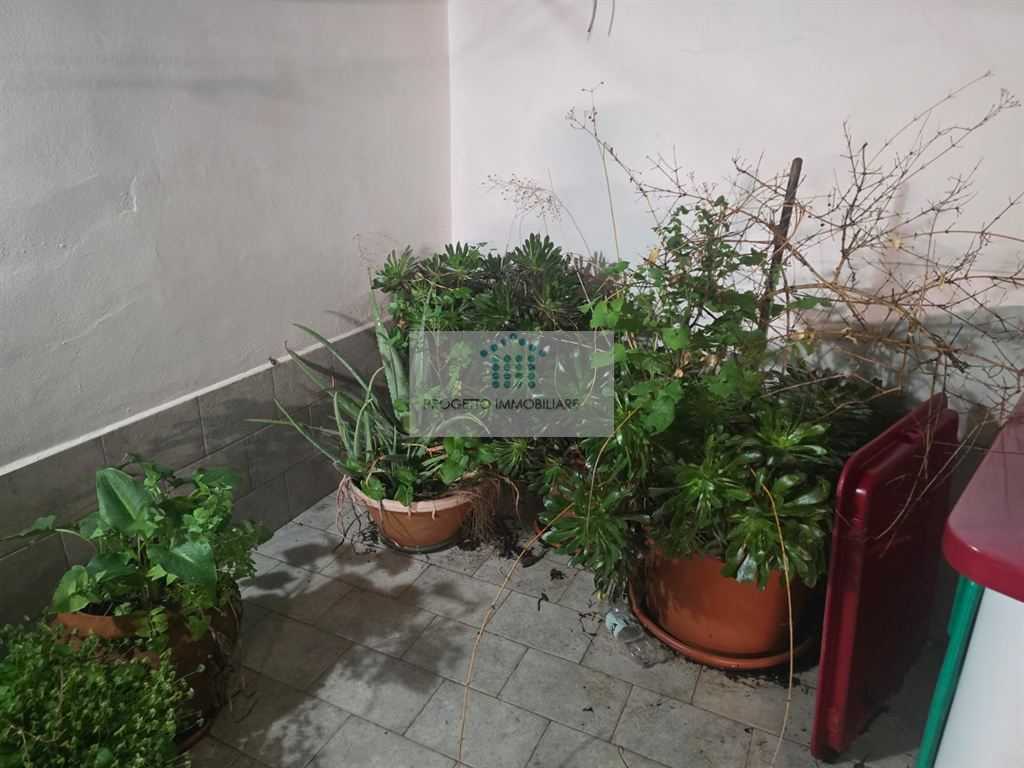  - foto 14