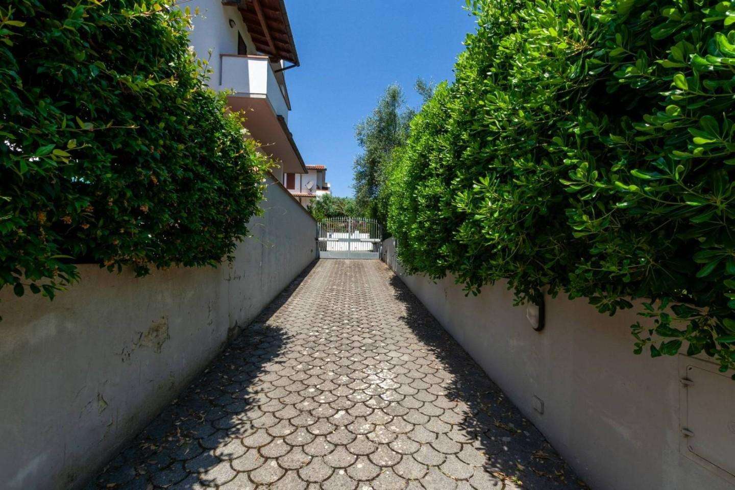  - foto 60