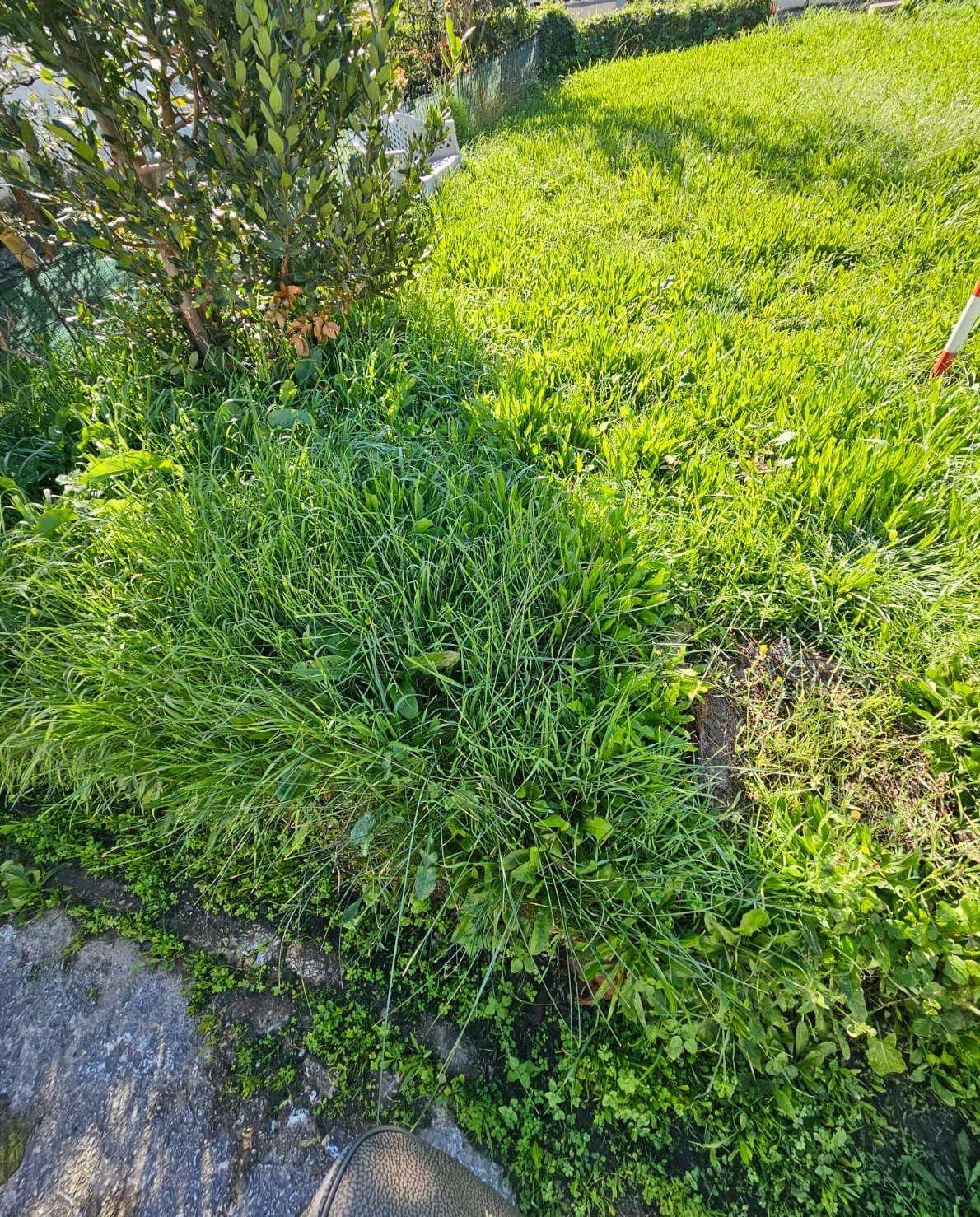  - foto 31