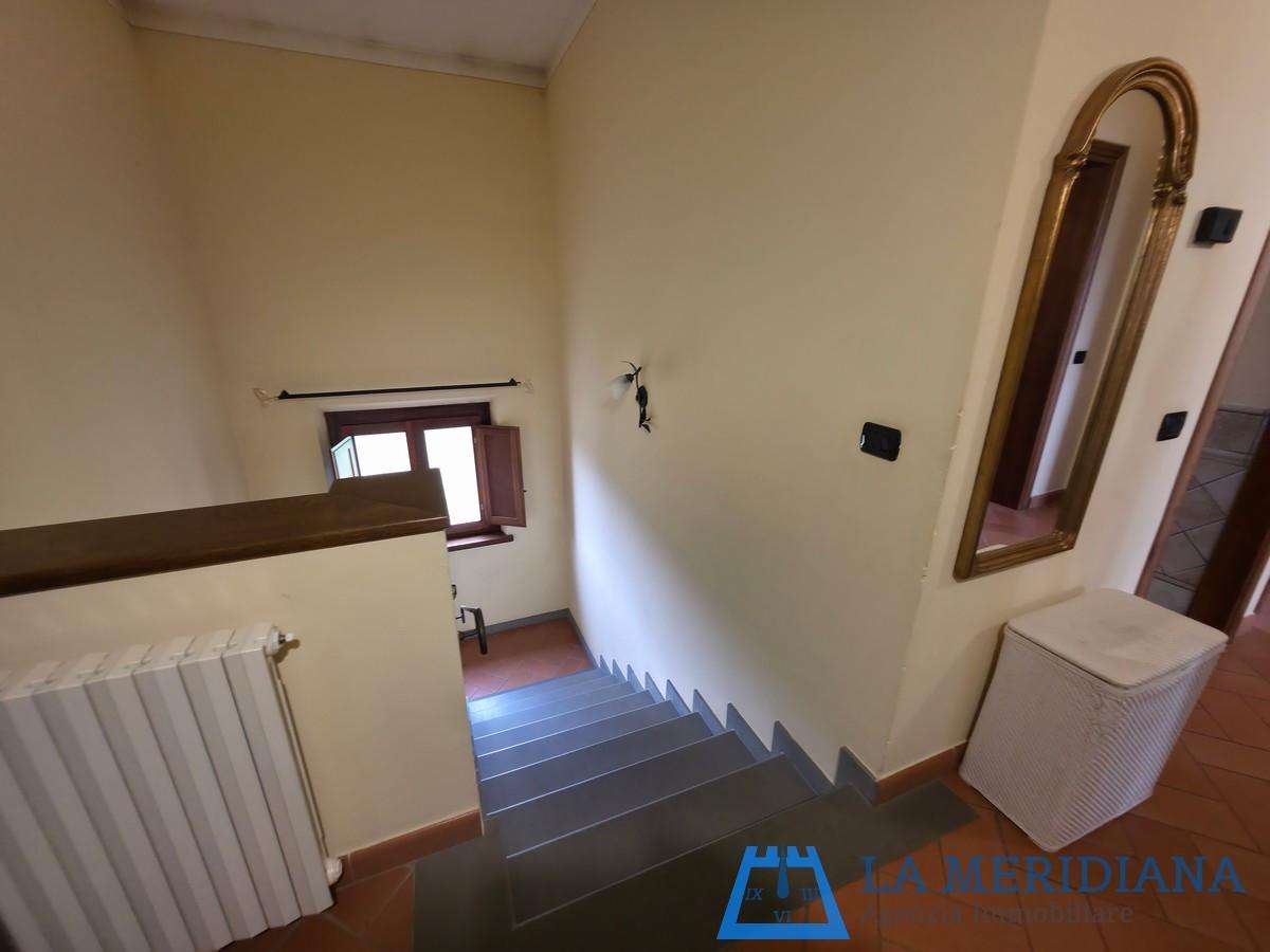  - foto 31
