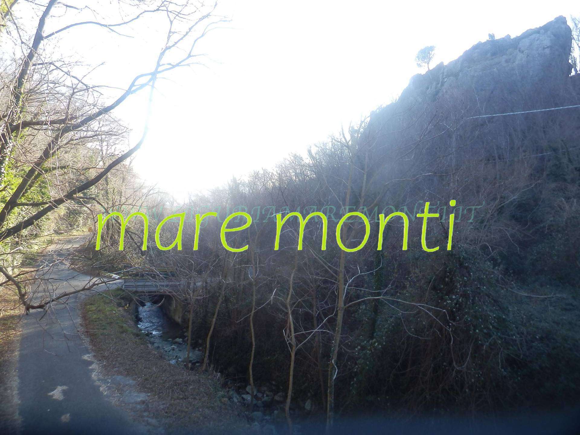  - foto 38