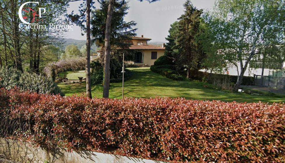  - foto 12