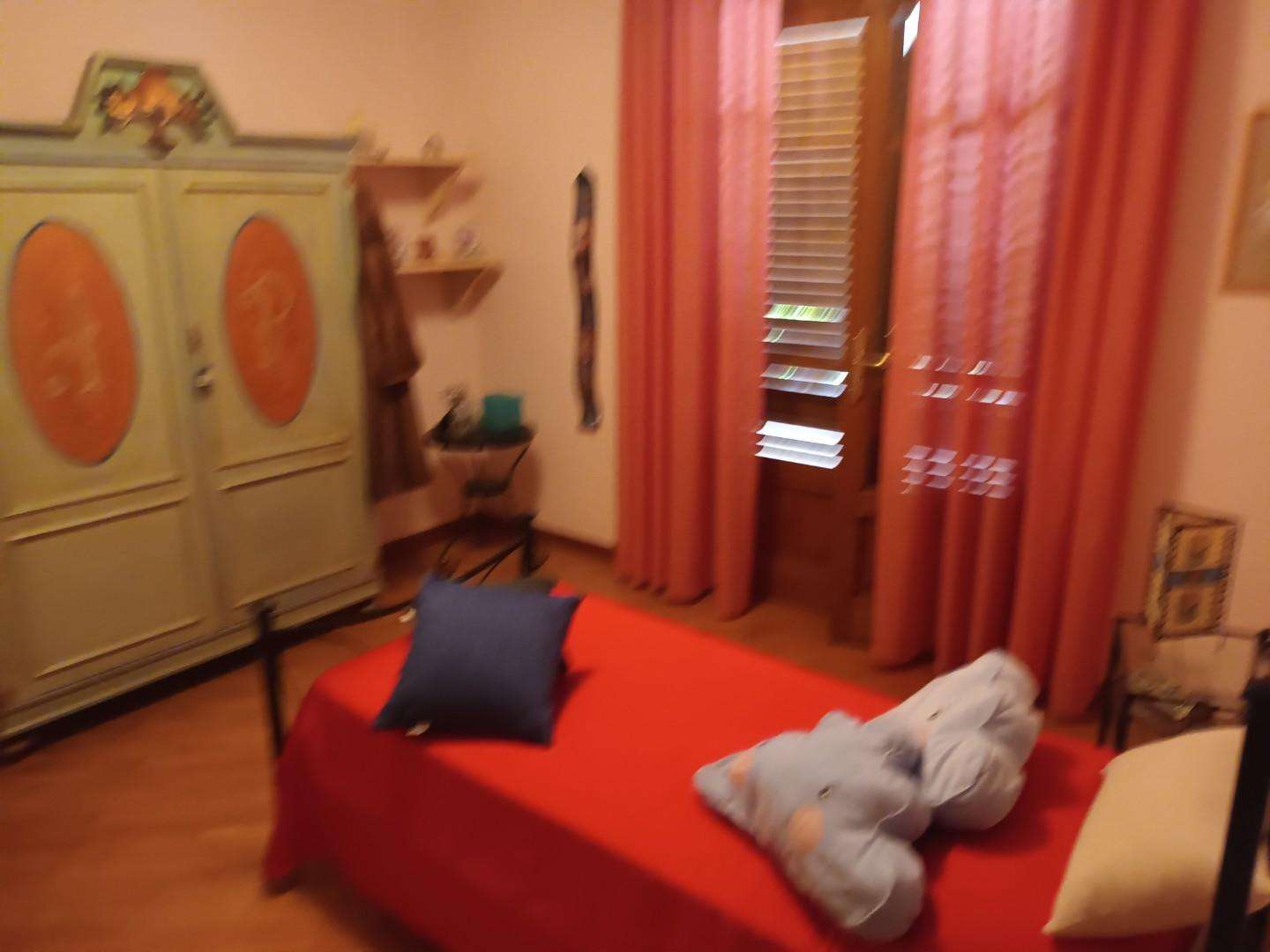  - foto 28