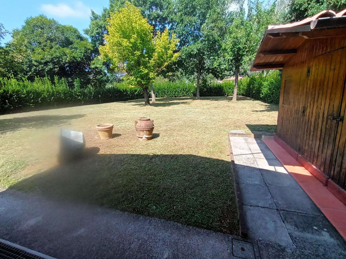  - foto 41