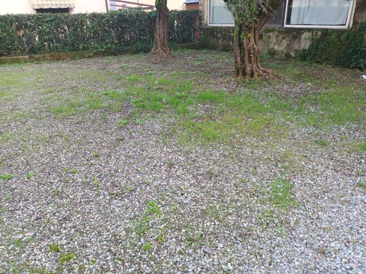  - foto 28