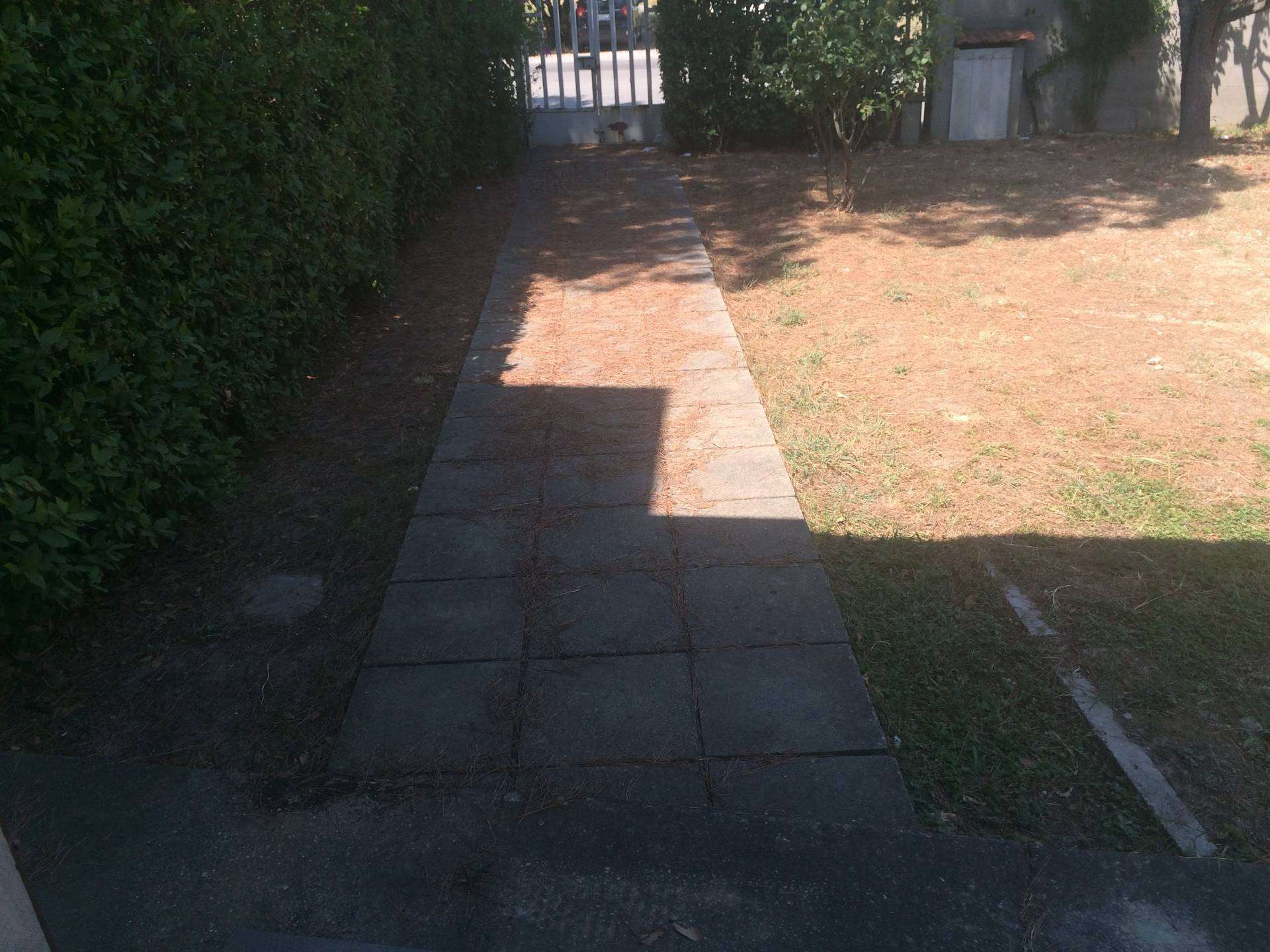  - foto 13