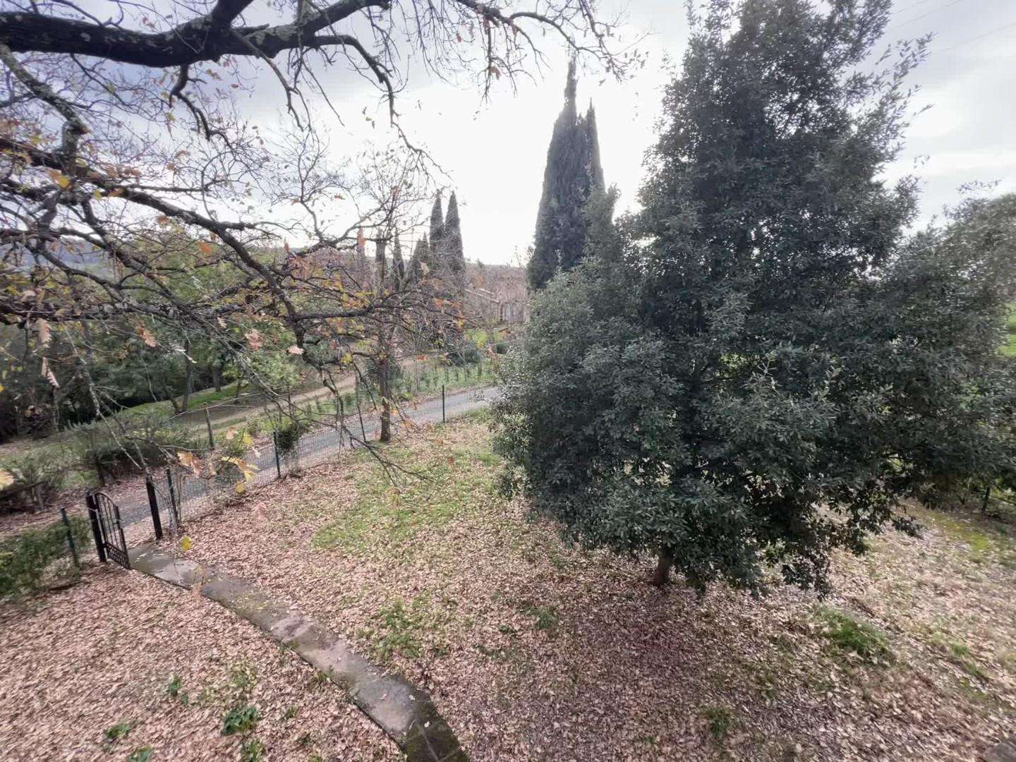  - foto 11