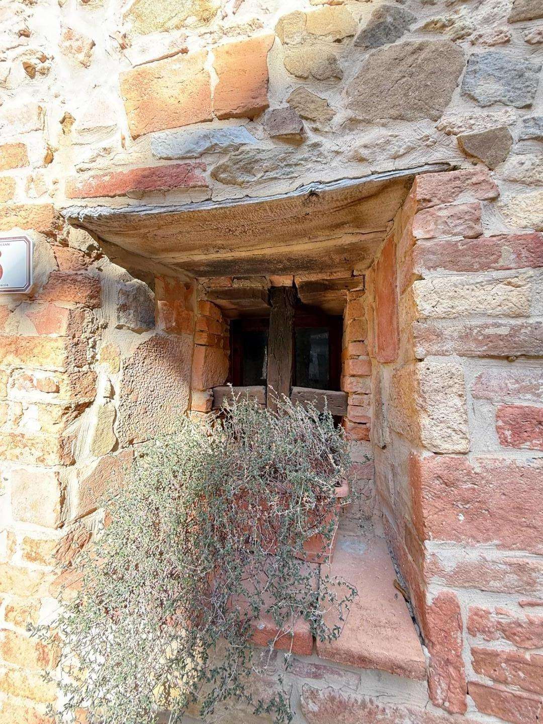  - foto 31