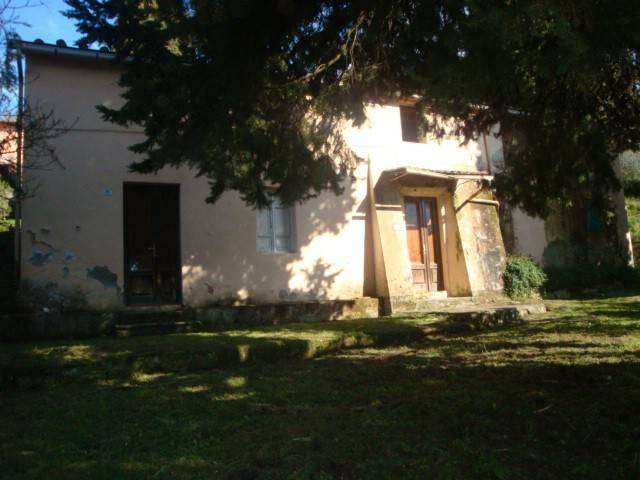  - foto 14