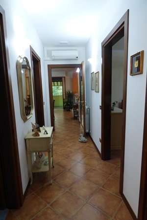  - foto 11