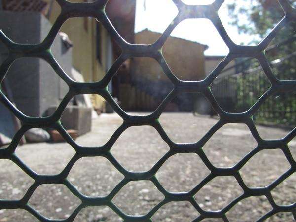  - foto 50