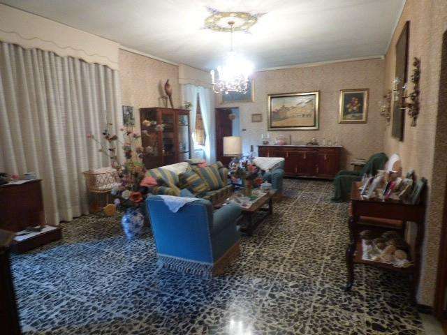  - foto 13