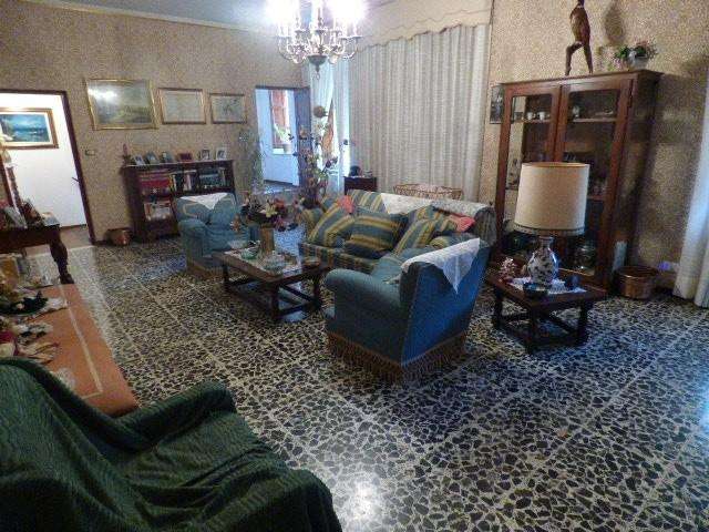  - foto 17