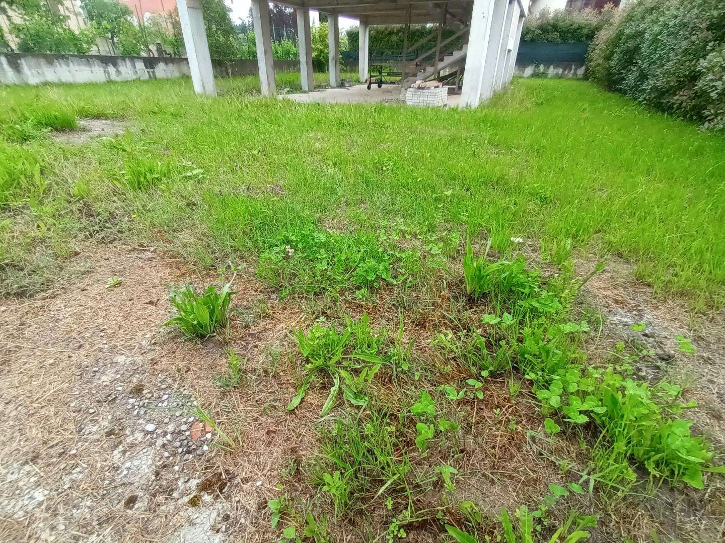  - foto 7
